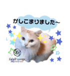 yoshimin.souma＆3catsのsmiley stamp part2（個別スタンプ：1）