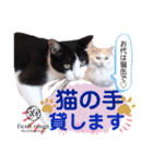 yoshimin.souma＆3catsのsmiley stamp part2（個別スタンプ：5）