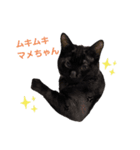 Karin_cat7 -チョコ、マメ、トロ-（個別スタンプ：5）