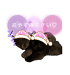 Karin_cat7 -チョコ、マメ、トロ-（個別スタンプ：8）