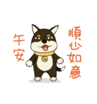 柴犬兄弟╴愛玉とセンソウ 2 ╴ 日常会話（個別スタンプ：9）