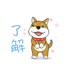 柴犬兄弟╴愛玉とセンソウ 2 ╴ 日常会話（個別スタンプ：14）