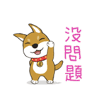 柴犬兄弟╴愛玉とセンソウ 2 ╴ 日常会話（個別スタンプ：16）