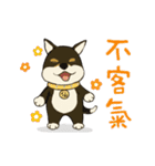 柴犬兄弟╴愛玉とセンソウ 2 ╴ 日常会話（個別スタンプ：19）