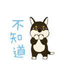 柴犬兄弟╴愛玉とセンソウ 2 ╴ 日常会話（個別スタンプ：21）