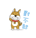 柴犬兄弟╴愛玉とセンソウ 2 ╴ 日常会話（個別スタンプ：22）