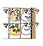 デカ動く 擦れうさぎ9（個別スタンプ：24）