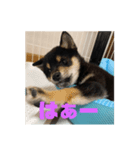まさるの気持ちPart弐（個別スタンプ：1）