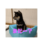 まさるの気持ちPart弐（個別スタンプ：3）