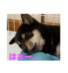 まさるの気持ちPart弐（個別スタンプ：5）