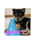 まさるの気持ちPart弐（個別スタンプ：6）