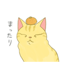 おっさんねこ茶トラさん。vol.3（個別スタンプ：8）