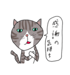 トラ猫のアニータ2（個別スタンプ：1）