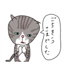 トラ猫のアニータ2（個別スタンプ：3）