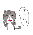 トラ猫のアニータ2（個別スタンプ：13）