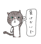 トラ猫のアニータ2（個別スタンプ：16）