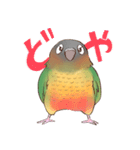 マイペースなウロコインコ（個別スタンプ：7）