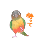 マイペースなウロコインコ（個別スタンプ：9）