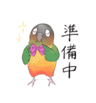 マイペースなウロコインコ（個別スタンプ：13）