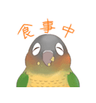 マイペースなウロコインコ（個別スタンプ：17）