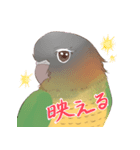 マイペースなウロコインコ（個別スタンプ：22）