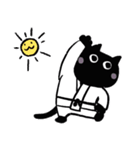 武術猫 黒猫（個別スタンプ：4）