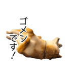 日常的な会話をする柴犬_2（個別スタンプ：39）