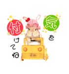 うさぎのsoraくん♡（個別スタンプ：5）