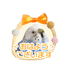 そらandカイリ かわいいセキセイインコ（個別スタンプ：6）