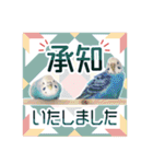 そらandカイリ かわいいセキセイインコ（個別スタンプ：19）