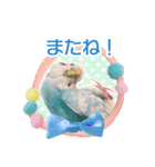 そらandカイリ かわいいセキセイインコ（個別スタンプ：23）