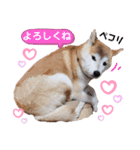 かりん⭐︎（個別スタンプ：1）