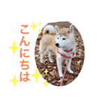 かりん⭐︎（個別スタンプ：2）
