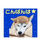 かりん⭐︎（個別スタンプ：3）