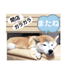 かりん⭐︎（個別スタンプ：4）