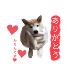 かりん⭐︎（個別スタンプ：6）
