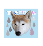 かりん⭐︎（個別スタンプ：7）