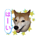 かりん⭐︎（個別スタンプ：8）