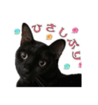 黒猫ゲンちゃん（個別スタンプ：22）