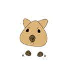 手袋をつけたMr.Quokka（個別スタンプ：3）