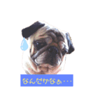 あぐくんの日常（個別スタンプ：1）