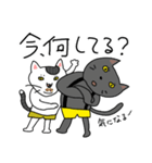 兄弟猫のトノとロク 2 _今何してる？（個別スタンプ：1）