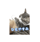 小町2（個別スタンプ：6）