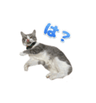 小町2（個別スタンプ：13）