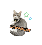 小町2（個別スタンプ：17）