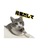 小町2（個別スタンプ：20）
