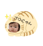 おしぼりスタンプ2（個別スタンプ：4）