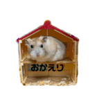 ハムスターのきなこもち（個別スタンプ：4）