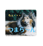 らりちゃん1（個別スタンプ：4）