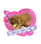 我が家の7ニャンズたち（個別スタンプ：8）
